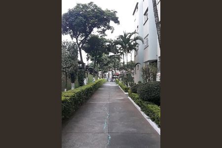 Apartamento à venda com 2 quartos, 49m² em Vila Sílvia, São Paulo
