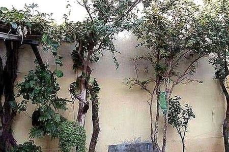 Casa à venda com 287m², 3 quartos e 2 vagas