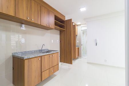 Apartamento para alugar com 45m², 2 quartos e sem vaga Apartamento para alugar com 45m², 2 quartos e sem vagaCozinha