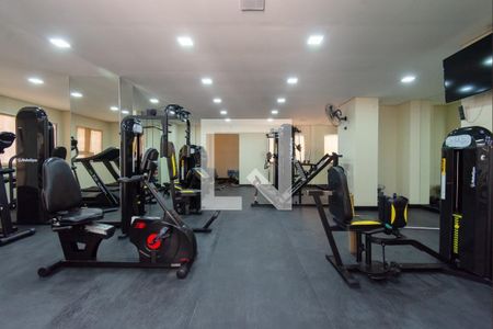 Apartamento para alugar com 52m², 2 quartos e 1 vaga Apartamento para alugar com 52m², 2 quartos e 1 vagaÁrea comum - Academia