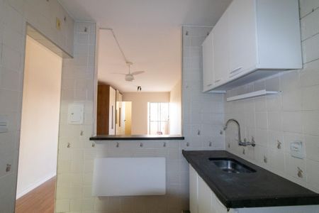 Cozinha de apartamento para alugar com 1 quarto, 30m² em Botafogo, Campinas