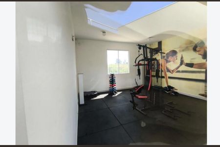 Apartamento para alugar com 2 quartos, 40m² em São Damião, Belo Horizonte