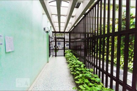 Apartamento para alugar com 75m², 3 quartos e 1 vaga Apartamento para alugar com 75m², 3 quartos e 1 vagaÁrea comum