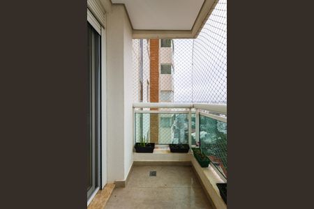 Apartamento para alugar com 261m², 4 quartos e 4 vagas Apartamento para alugar com 261m², 4 quartos e 4 vagasSuíte 1