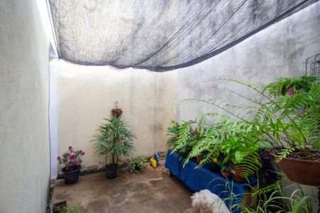 Casa para alugar com 100m², 2 quartos e 1 vaga Casa para alugar com 100m², 2 quartos e 1 vagaQuintal