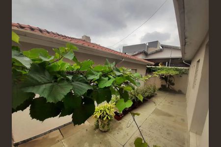 Foto 10 de casa para alugar com 3 quartos, 200m² em Jardim Novo Botafogo, Campinas