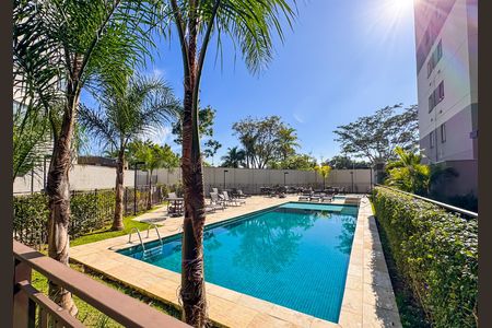 Área comum - Piscina  de apartamento à venda com 2 quartos, 34m² em Guaianazes, São Paulo
