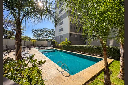 Apartamento à venda com 34m², 2 quartos e sem vaga Apartamento à venda com 34m², 2 quartos e sem vagaÁrea comum - Piscina
