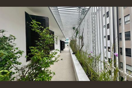 Apartamento à venda com 395m², 4 quartos e 2 vagas Apartamento à venda com 395m², 4 quartos e 2 vagasTerraço