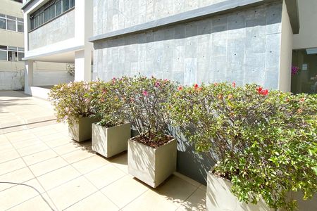Apartamento à venda com 80m², 2 quartos e 1 vaga Apartamento à venda com 80m², 2 quartos e 1 vagaÁrea comum