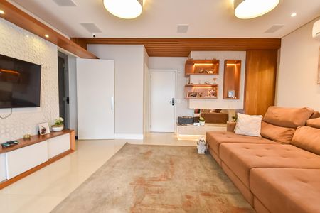 Sala de apartamento para alugar com 3 quartos, 111m² em Cambuci, São Paulo