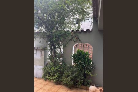 Casa à venda com 3 quartos, 290m² em Santana, São Paulo