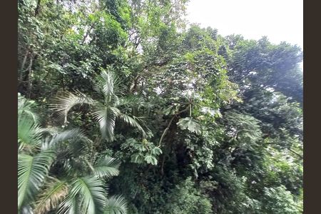 Vista de apartamento para alugar com 1 quarto, 38m² em Parque Prainha, São Vicente