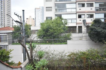 Casa para alugar com 295m², 3 quartos e 2 vagasCozinha