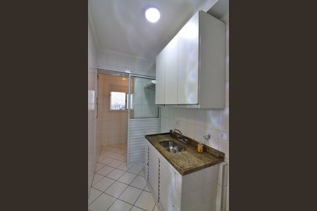 Apartamento para alugar com 44m², 2 quartos e 1 vagaCozinha 