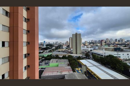 Apartamento à venda com 2 quartos, 50m² em Casa Branca, Santo André