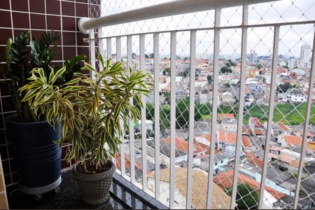 Apartamento à venda com 3 quartos, 65m² em Parque Maria Domitila, São Paulo