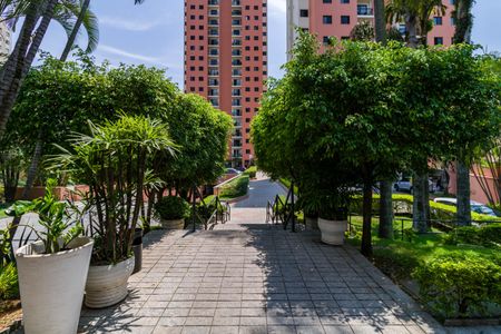 Apartamento à venda com 77m², 3 quartos e 2 vagas