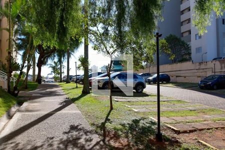 Apartamento para alugar com 73m², 3 quartos e 1 vaga