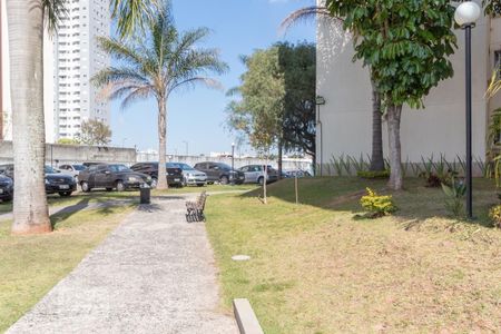 Apartamento para alugar com 73m², 3 quartos e 1 vaga