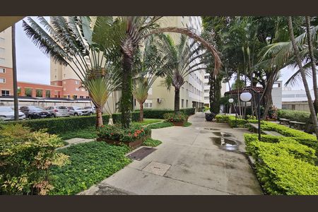 Apartamento para alugar com 60m², 2 quartos e 1 vaga Apartamento para alugar com 60m², 2 quartos e 1 vagaÁrea Externa