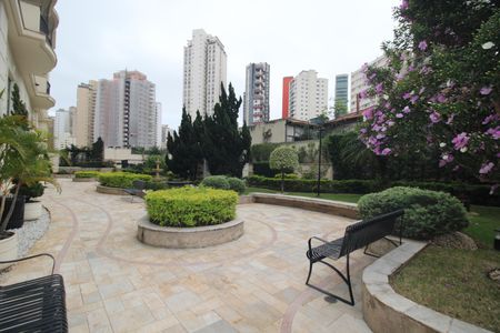 Apartamento para alugar com 179m², 4 quartos e 4 vagasÁrea Comum