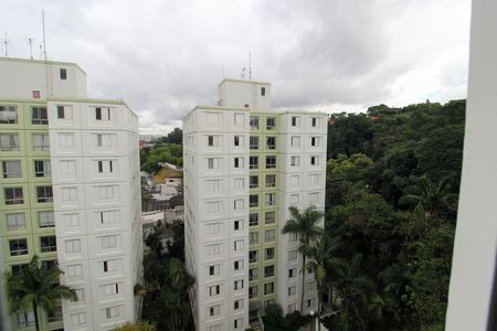 Vista do Quarto 1 de apartamento para alugar com 3 quartos, 70m² em Instituto de Previdencia, São Paulo