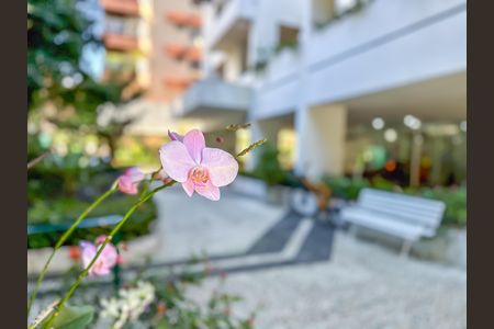 Apartamento para alugar com 96m², 3 quartos e 1 vaga