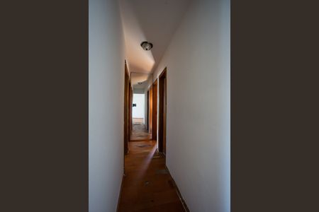 Corredor de apartamento para alugar com 3 quartos, 75m² em Vila Suzana, São Paulo