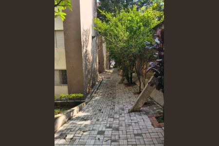 Apartamento à venda com 2 quartos, 50m² em Vila Industrial, São Paulo