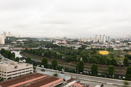 Apartamento para alugar com 43m², 2 quartos e sem vagaVista do Quarto 2
