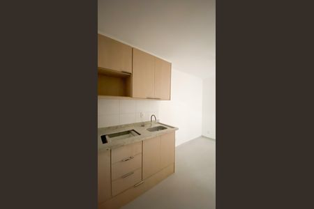 Cozinha  de apartamento para alugar com 1 quarto, 30m² em Vila Sao Geraldo, São Paulo