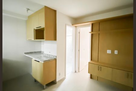 Cozinha de apartamento para alugar com 1 quarto, 30m² em Vila Sao Geraldo, São Paulo