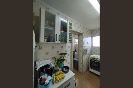 Apartamento à venda com 58m², 2 quartos e 1 vaga Apartamento à venda com 58m², 2 quartos e 1 vagaCozinha - Armários
