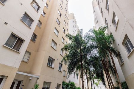 Apartamento para alugar com 33m², 2 quartos e sem vaga Apartamento para alugar com 33m², 2 quartos e sem vagaFachada Blocos