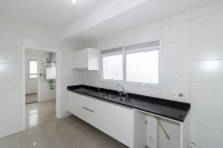 Apartamento para alugar com 161m², 4 quartos e 3 vagas Apartamento para alugar com 161m², 4 quartos e 3 vagasCozinha