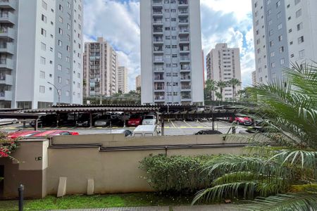 Vista do Quarto 1 de apartamento para alugar com 3 quartos, 63m² em Parque Bristol, São Paulo