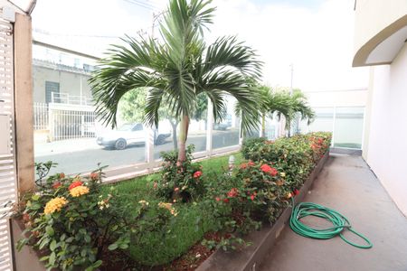 Apartamento para alugar com 74m², 3 quartos e 2 vagasHall de entrada
