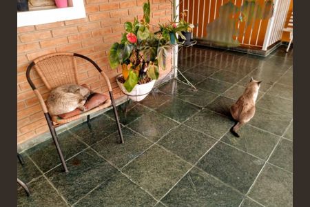 Casa à venda com 4 quartos, 180m² em Jardim Colonial, São Paulo
