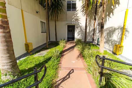 Apartamento para alugar com 50m², 2 quartos e 1 vaga Apartamento para alugar com 50m², 2 quartos e 1 vagaÁrea Comum