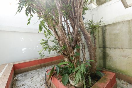 Casa para alugar com 275m², 2 quartos e 3 vagas Casa para alugar com 275m², 2 quartos e 3 vagasJardim