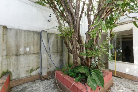Casa para alugar com 275m², 2 quartos e 3 vagas Casa para alugar com 275m², 2 quartos e 3 vagasJardim