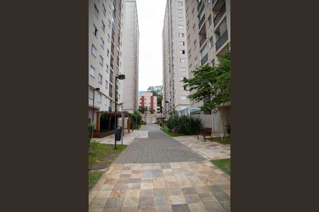 Apartamento para alugar com 69m², 2 quartos e 2 vagasÁrea comum