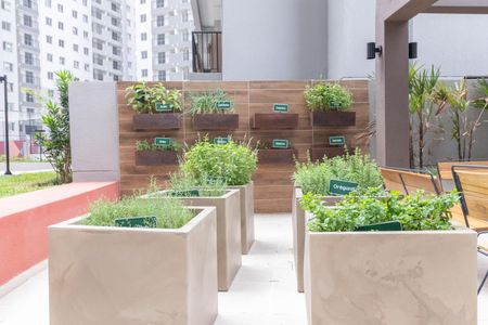 Apartamento para alugar com 38m², 1 quarto e 1 vagaÁrea comum