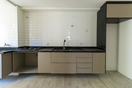 Apartamento para alugar com 53m², 2 quartos e 1 vagaCozinha - Armários