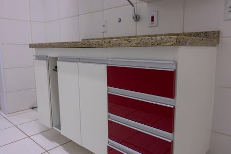 Apartamento para alugar com 47m², 2 quartos e 1 vagaCozinha - Armários