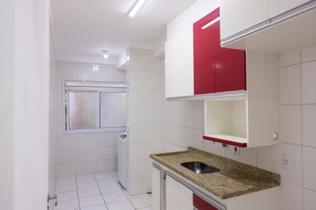 Apartamento para alugar com 47m², 2 quartos e 1 vagaCozinha - Armários