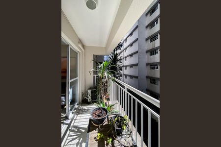 Apartamento à venda com 55m², 2 quartos e 1 vaga