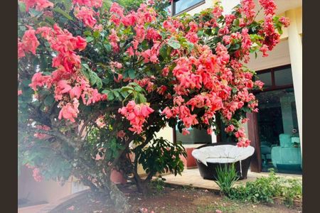 Casa à venda com 443m², 4 quartos e 5 vagas