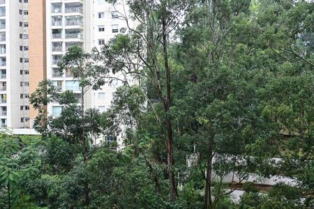 Apartamento à venda com 168m², 3 quartos e 3 vagasVista da Suíte 1